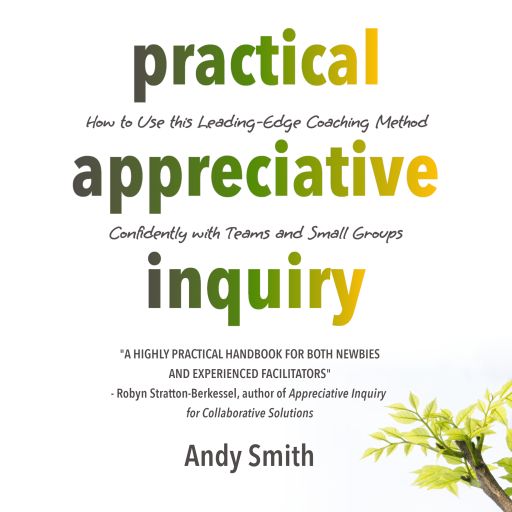 Practical Appreciative Inquiry (audiobook)