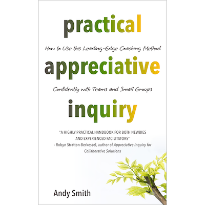 Practical Appreciative Inquiry (ebook)